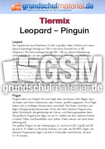 Leopard - Pinguin.pdf